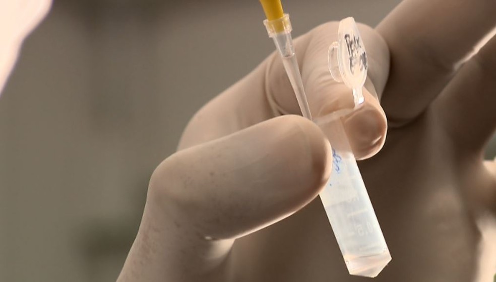 Pesquisa desenvolvida na USP de São Carlos busca combater o HIV com proteína de planta (Foto: Reprodução/ EPTV)