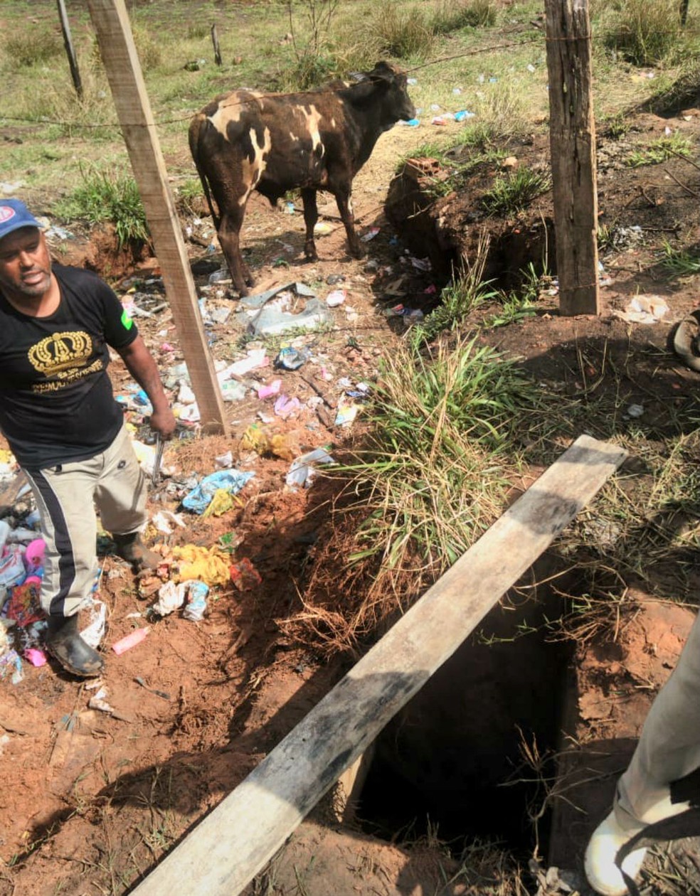 Após ser içado com cordas, animal deixou o buraco sem ferimentos (Foto: Arquivo pessoal)