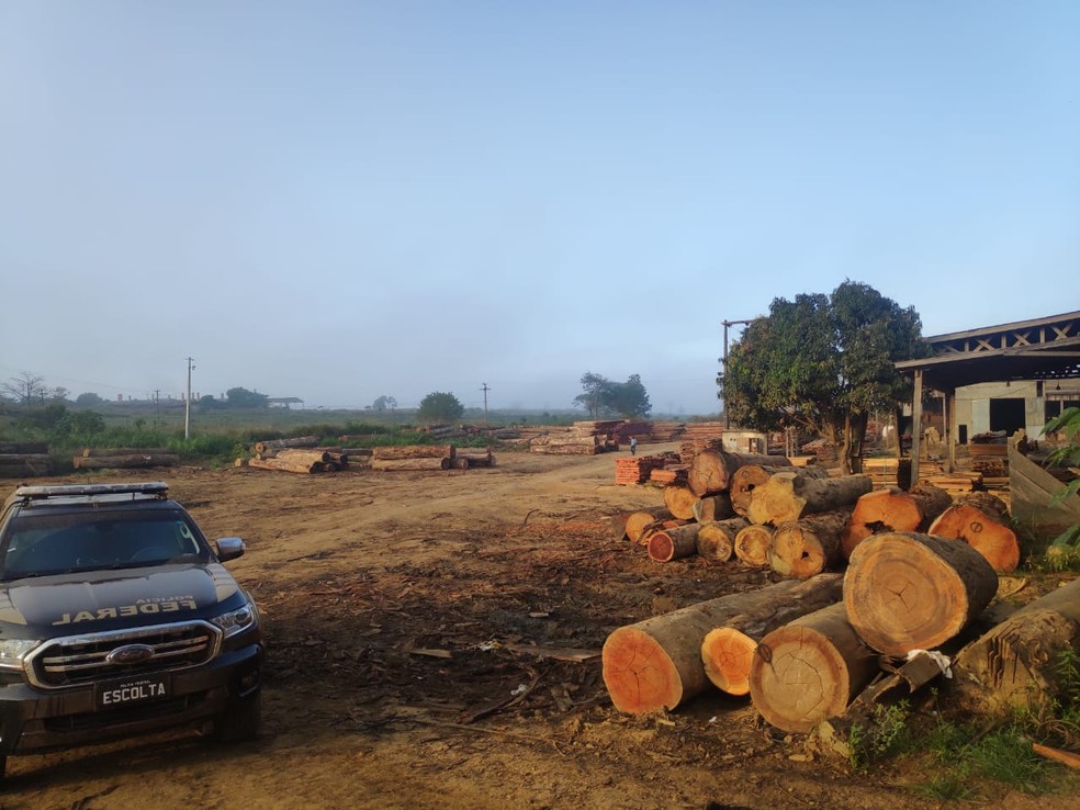 Operação Floresta S.A II cumpriu mandados em Buritis, Rondônia — Foto: PF/Divulgação
