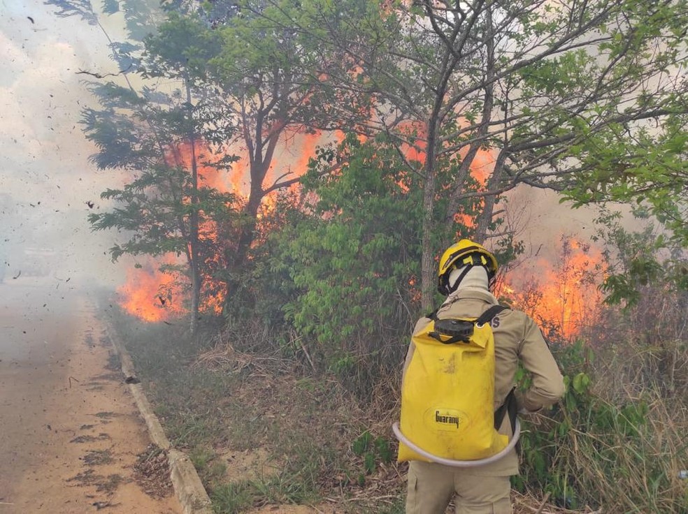 Acre registra maior número de queimadas dos últimos 11 anos, aponta Inpe — Foto: Corpo de Bombeiros Acre