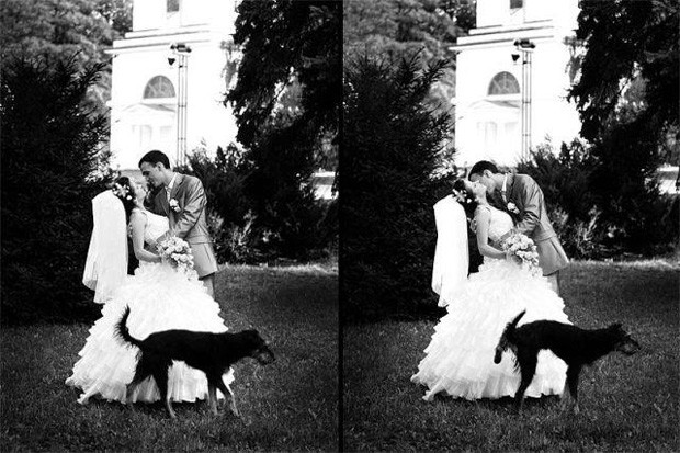 Momento romântico foi interrompido por cachorro "apertado".  (Foto: Reprodução)