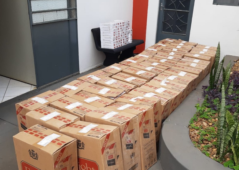 437.200 maços de cigarros estrangeiros foram apreendidos em Botucatu (SP) — Foto: Polícia Civil/Divulgação