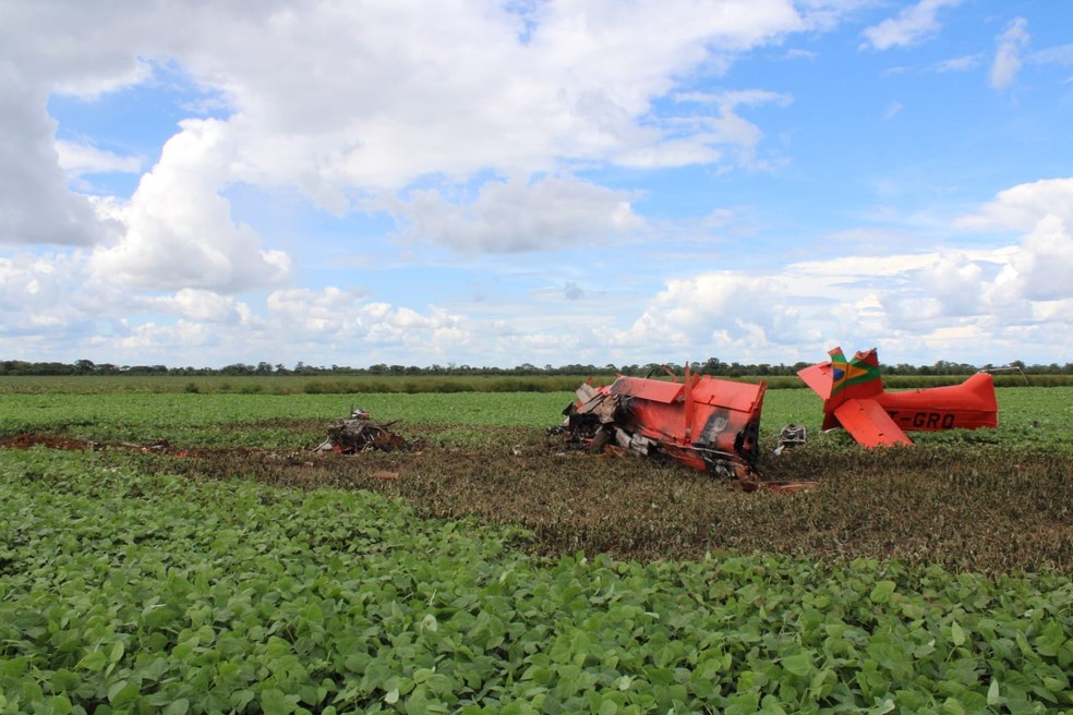 Avião caiu em fazenda de Lagoa da Confusão — Foto: Divulgação/Polícia Civil