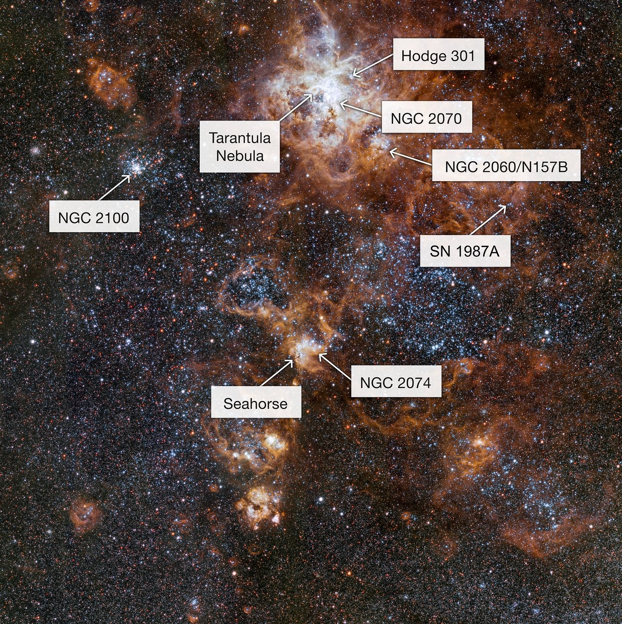 Nebulosa da Tarântula - explicações (Foto: ESO/ Divulgação) Nebulosa da Tarântula - explicações (Foto: ESO/ Divulgação)