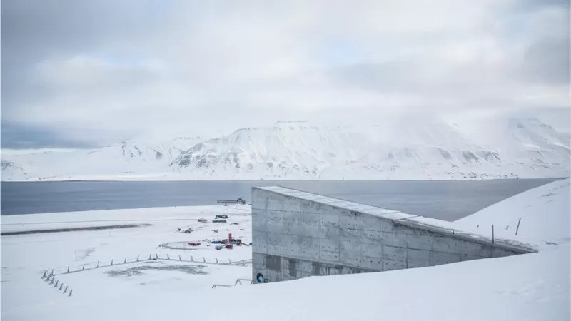 O permafrost permite preservar as centenas de milhares de sementes armazenadas dentro do cofre (Foto: Getty Images via BBC News Brasil )