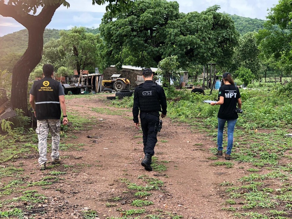 Na propriedade rural próxima a Porto Murtinho, os trabalhadores estavam alojados em barracos.  — Foto: Ministério Público do Trabalho/divulgação