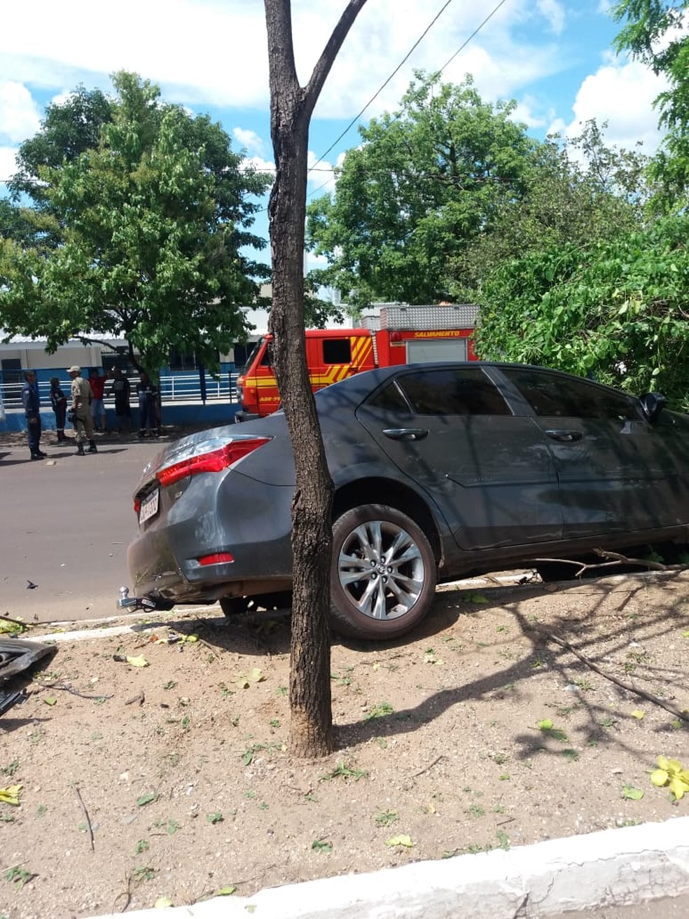 Carro dirigido pelo suspeito de injúria racial em MS bateu em árvore — Foto: Corpo de Bombeiros/Divulgação