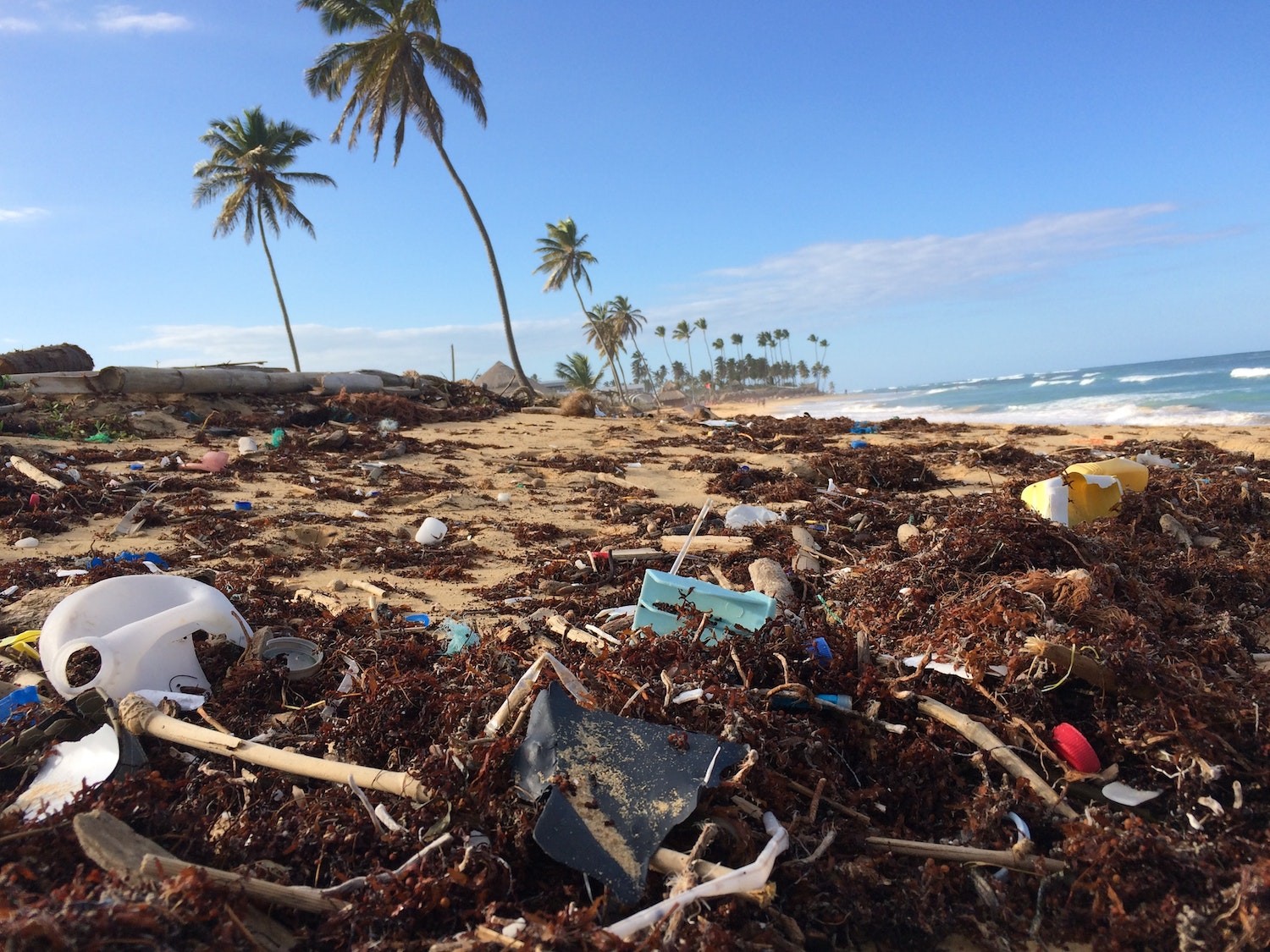 O descarte incorreto pode fazer com que o lixo polua praias e oceanos (Foto: Unsplash /  Dustan Woodhouse / CreativeCommons)