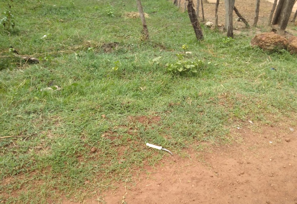 Homem é morto a facadas por vizinhos após briga por conta de um cacho de bananas, no Piauí — Foto: Polícia Militar