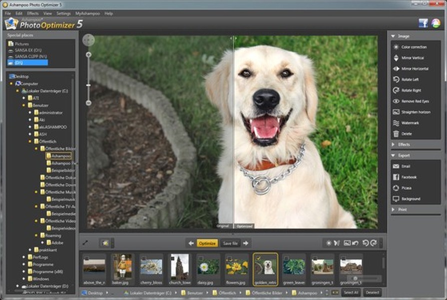 ashampoo photo optimizer 2019 free download ashampoo photo optimizer 2019 free download