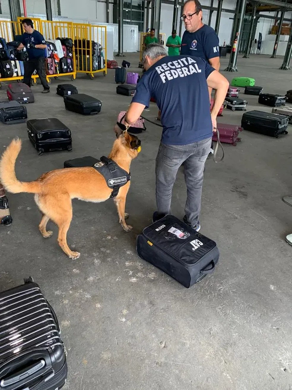 Prisão foi feita com auxílio de cão treinado da Receita Federal — Foto: Divulgação