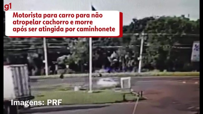 Motorista para carro para no atropelar cachorro e morre aps ser atingida por caminhonete