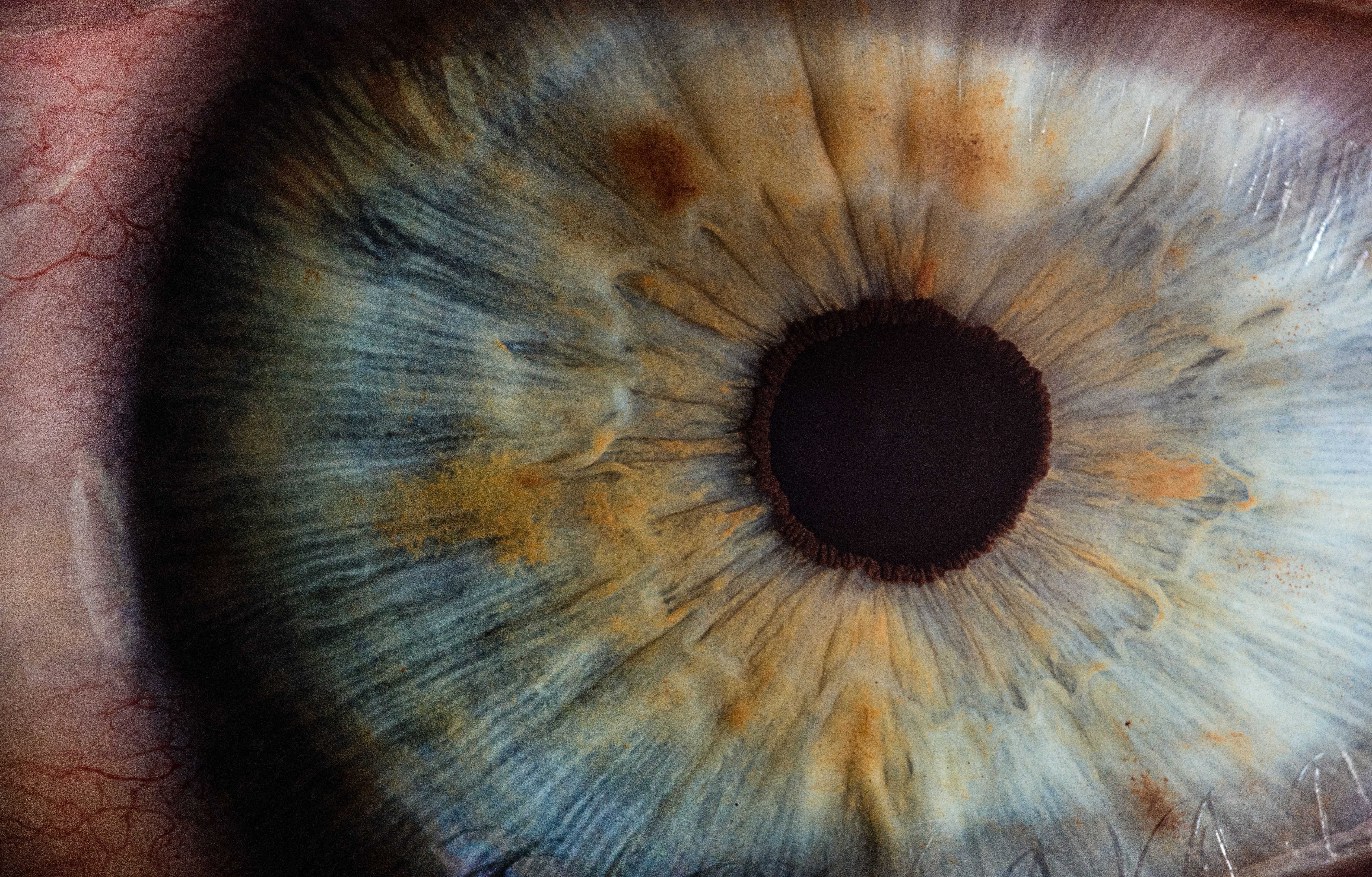 Estudo mostra como experiências traumáticas afetam as pupilas; entenda (Foto: Unsplash)