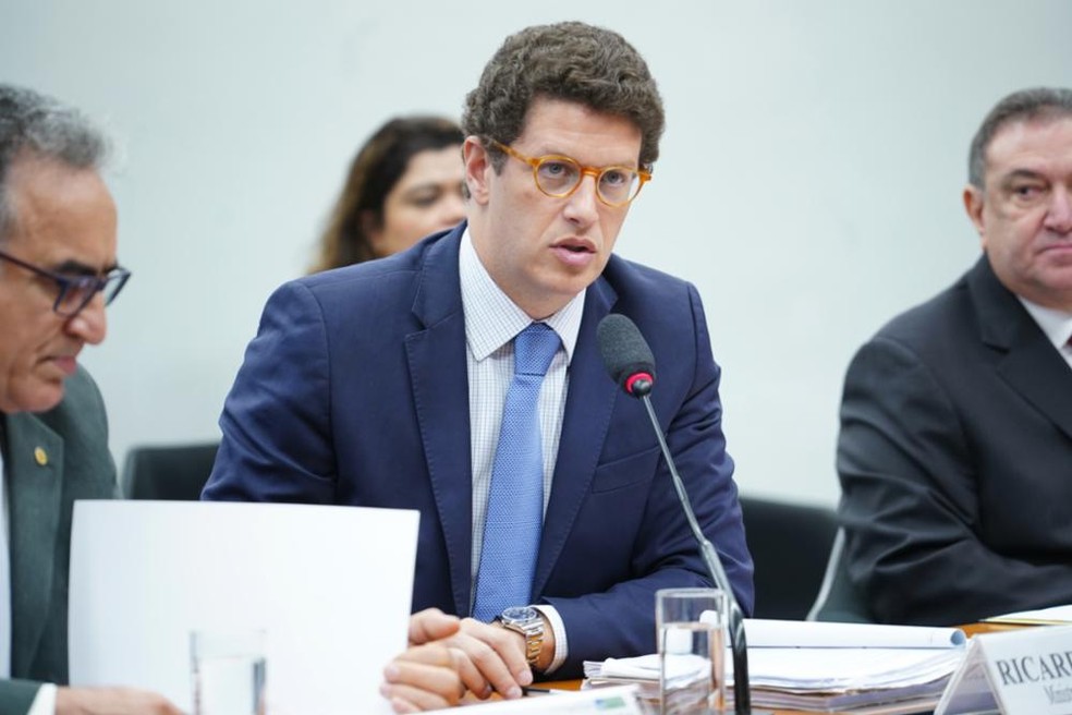 O ministro do Meio Ambiente, Ricardo Salles, participou de audiência pública na Câmara dos Deputados — Foto: Pablo Valadares/Câmara dos Deputados