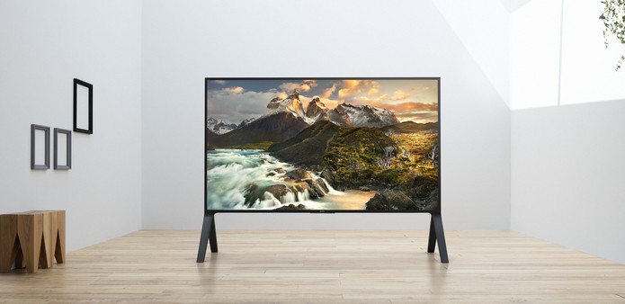 TV de 100 polegadas tem recurso especial para melhorar imagem (Foto: Divulgação/Sony)