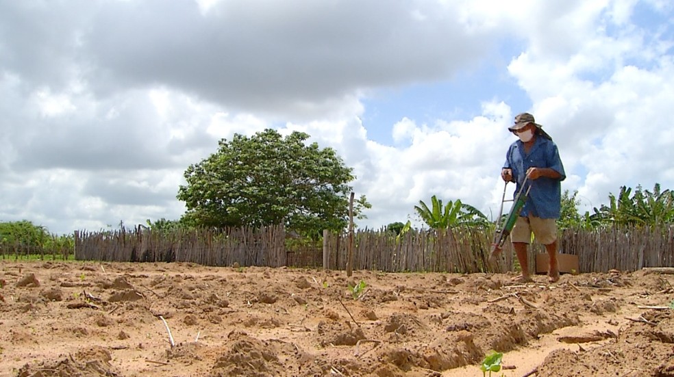 Agricultores aproveitam bom período chuvoso e iniciam plantio de sequeiro no interior do RN — Foto: Inter TV Costa Branca
