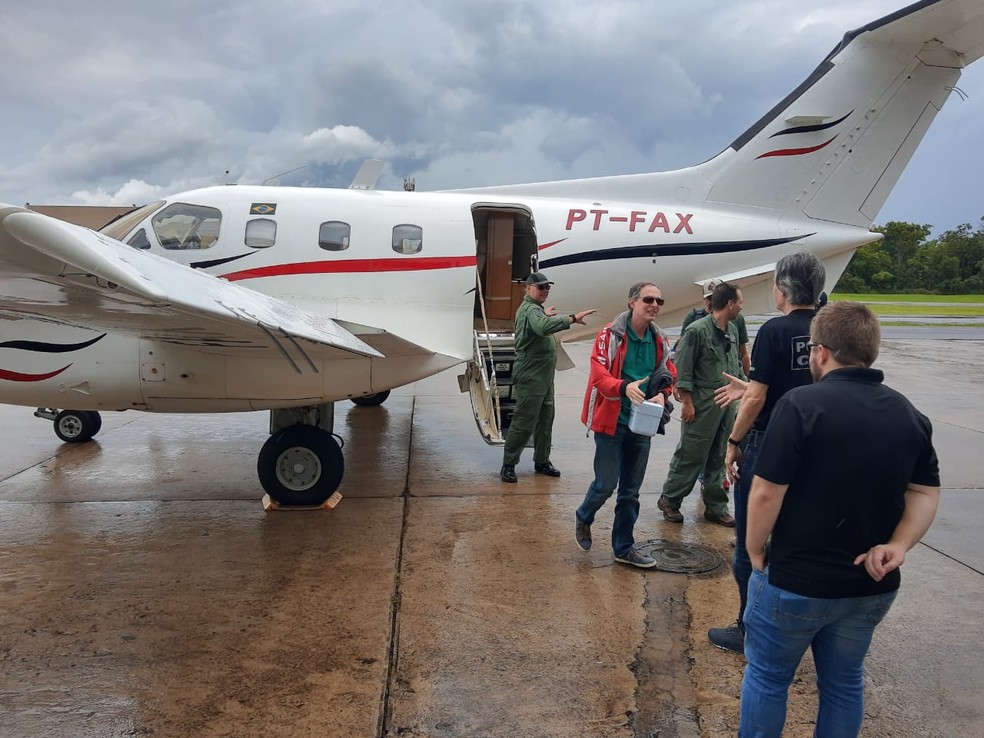 Policiais chegam de avião com amostra de corpo de criança no Aeroporto Internacional de Brasília — Foto: Polícia Civil/Divulgação 