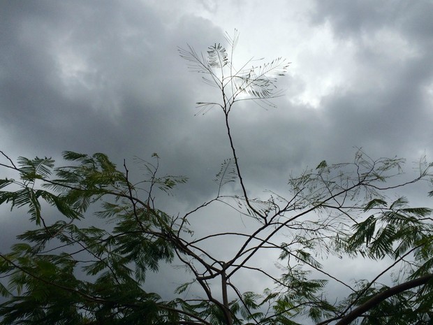Tempo nublado na tarde desta quarta-feira em Campo Grande (Foto: Isabela Cavalcante/G1 MS)