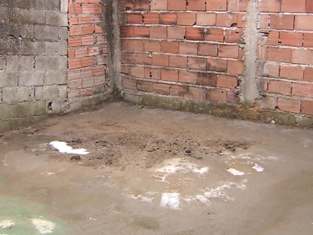Corpo da ex-mulher do suspeito estava enterrado nos fundos da casa onde ele morava (Foto: Reprodução/TV Tribuna)
