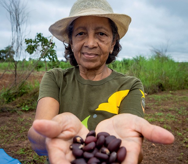 Liderados por Roseveth Marques Martins, coletores de sementes nativas em Diamantino, no oeste de  Mato Grosso, estão ajudando na recuperação das florestas (Foto: Fernando Martinho)