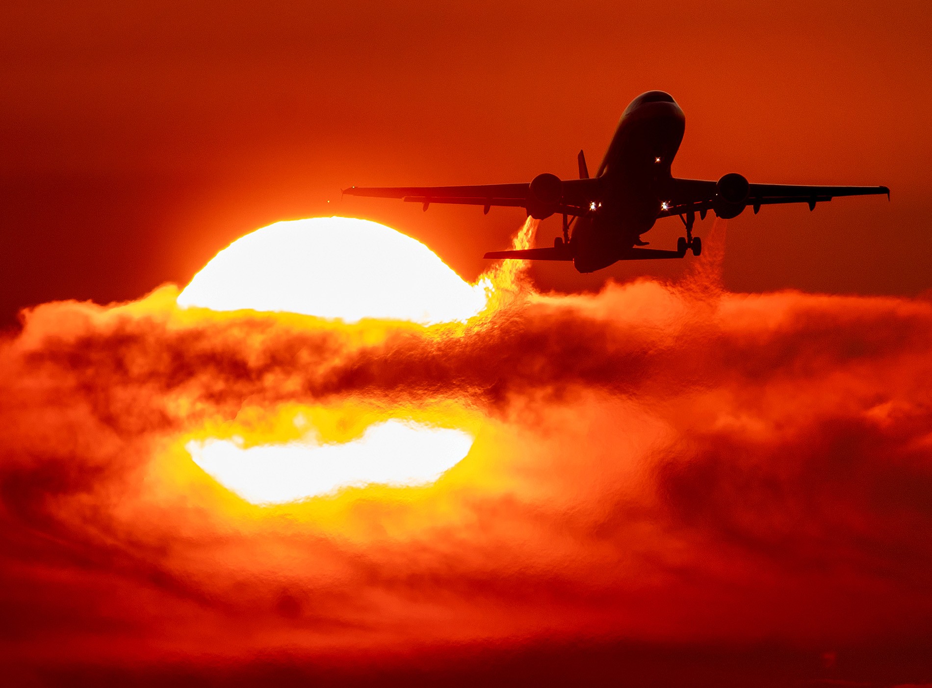 Transporte aéreo global de passageiros cresce 4,2% em 2019, aponta Iata thumbnail