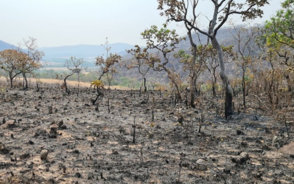 Incêndio queima mais de 30 mil hectares da Chapada dos Veadeiros em Goiás — Foto: Divulgação/Polícia Civil