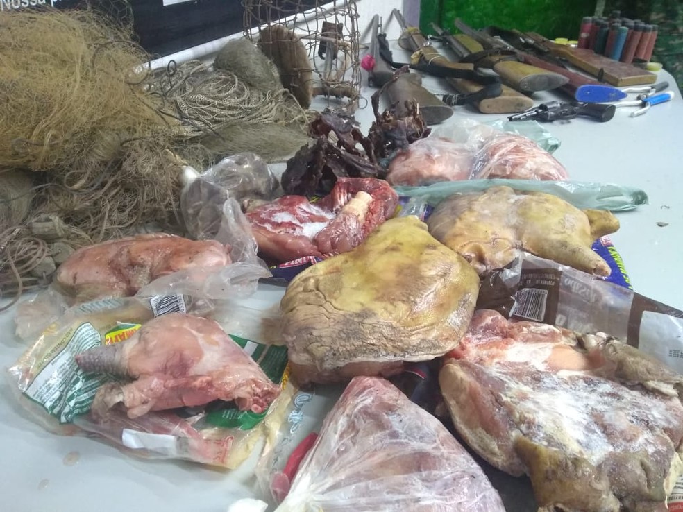 Foram apreendidas carnes de paca e de tatu — Foto: Polícia Militar/Divulgação