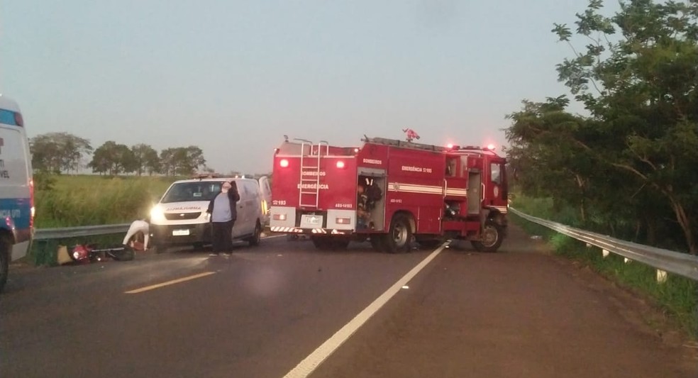 Atropelamento foi registrado na Rodovia Olímpio Ferreira da Silva (SP-272), em Pirapozinho (SP) — Foto: Rodrigo Fernandes/Cedida