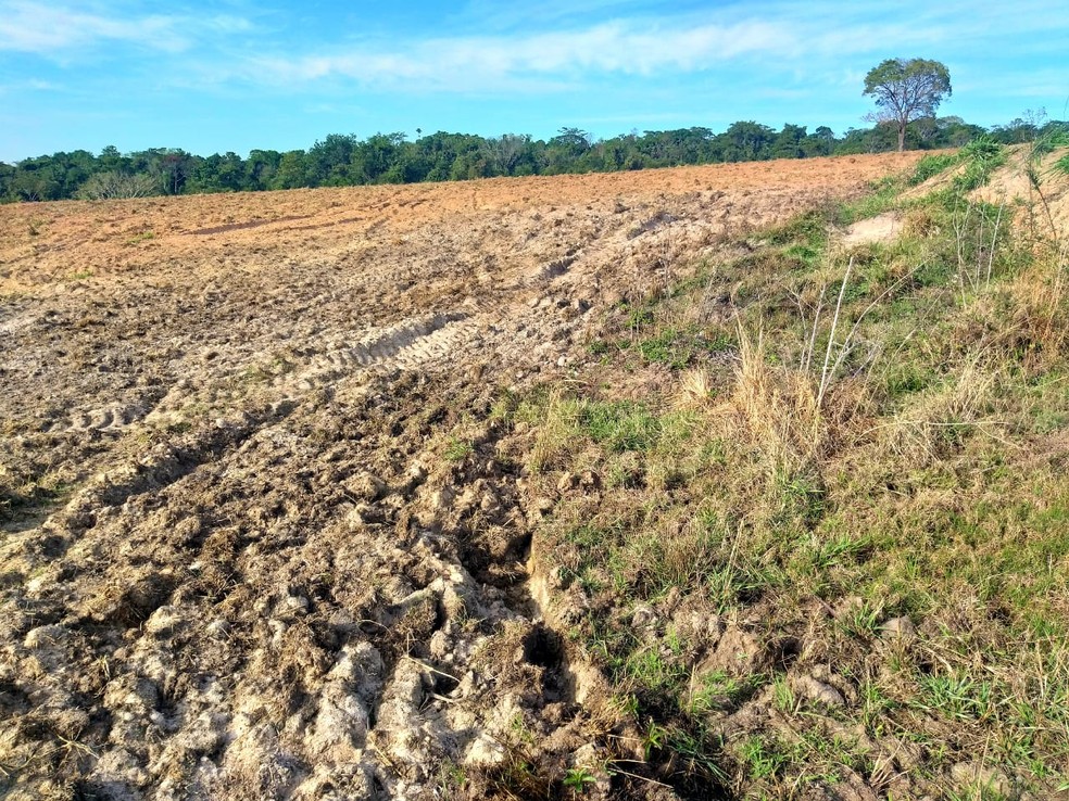 Multas foram aplicadas em uma fazenda, em Indiana — Foto: Polícia Militar Ambiental/Divulgação