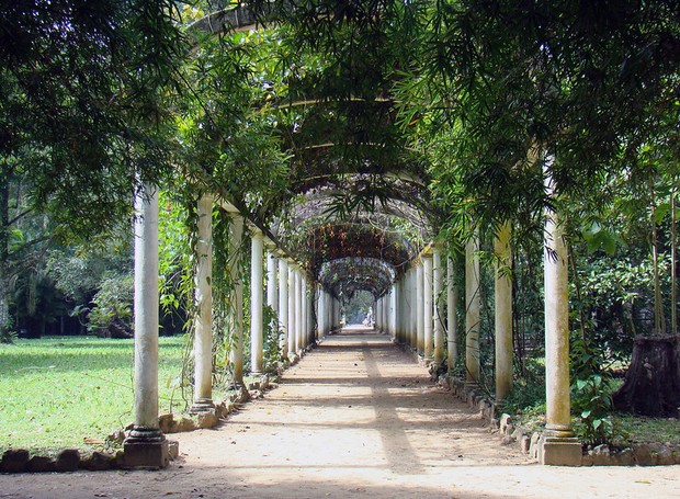 O Jardim Botânico do Rio é famoso por seu valor cultural, histórico e paisagístico (Foto: Flickr / Rodrigo Soldon / Creative Commons)