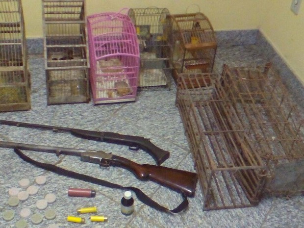 Armas e pássaros foram apreendidos (Foto: Divulgação/Polícia Ambiental)