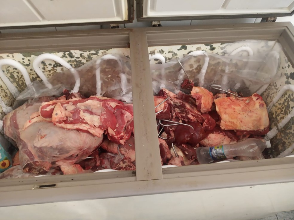 Carnes foram apreendidas e descartadas em aterro sanitário em Campos, no RJ — Foto: Divulgação/Vigilância Sanitária