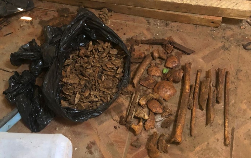 Polícia Civil encontra quatro ossadas humanas em residência — Foto: Polícia Civil /Divulgação