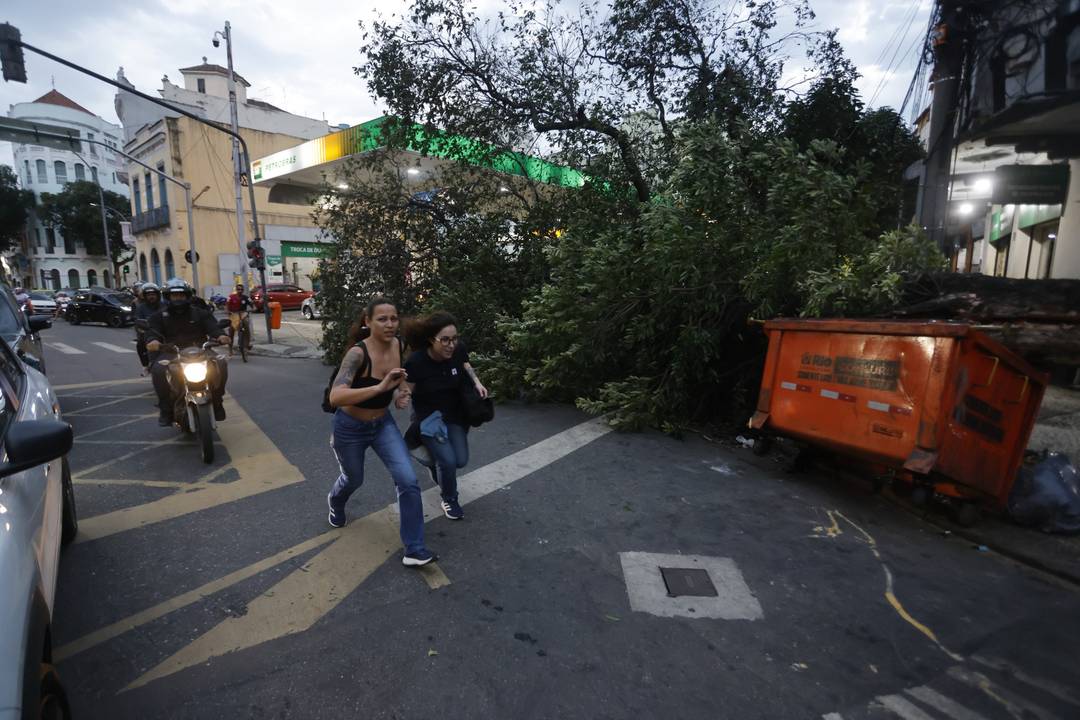 Ventania - Árvore cai na Rua do Riachuelo