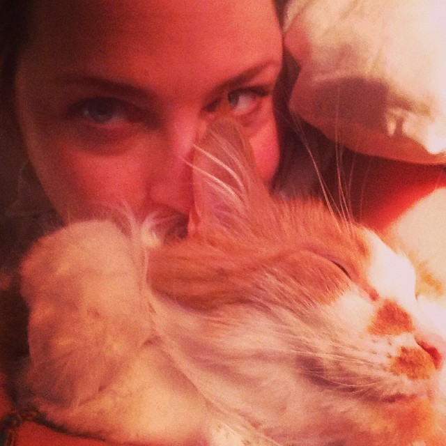 Amy Lee e a gata Shermie (Foto: Instagram/ @amylee/ Reprodução)