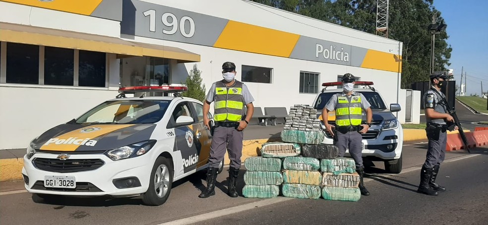 Polícia Rodoviária apreendeu 391 tabletes de maconha — Foto: Polícia Rodoviária