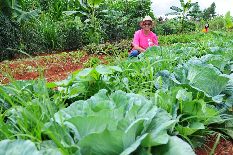 Segundo a ONU, cerca de uma em cada três mulheres com emprego no mundo trabalha no setor da agricultura — Foto: Dênio Simões/Agência Brasília