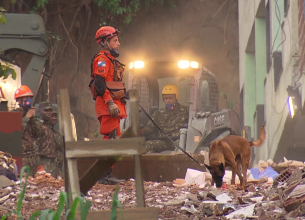 Bombeiros trabalhavam com cães farejadores para encontrar sobreviventes nos escombros onde prédios desabaram na Muzema — Foto: Reprodução/TV Globo