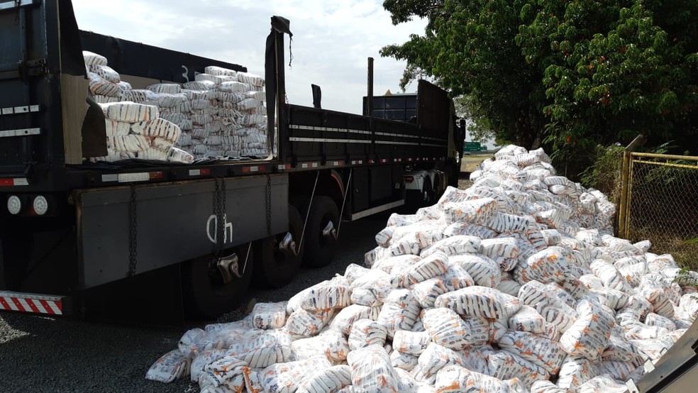 Carga de farinha é descarregada de carreta após apreensão de maconha em Piracicaba; droga estava misturada na carga. — Foto: Eduardo Rodrigues/EPTV
