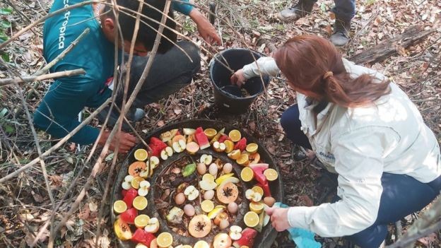 Integrantes da Fundação Ecotrópica preparando alimentos a serem cedidos aos animais; seca reduziu a oferta de comida natural (Foto: Fundação Ecotrópica via BBC Brasil )