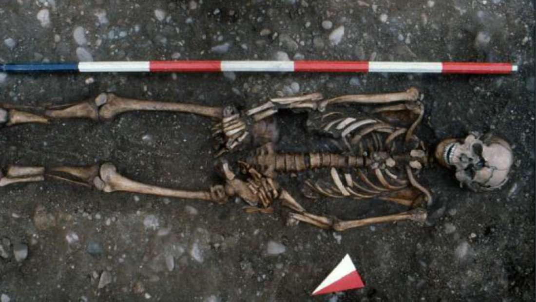 Esqueleto de homem que morreu na Idade Média foi analisado por arqueólogos  (Foto: Divulgação/Universidade de Milão)
