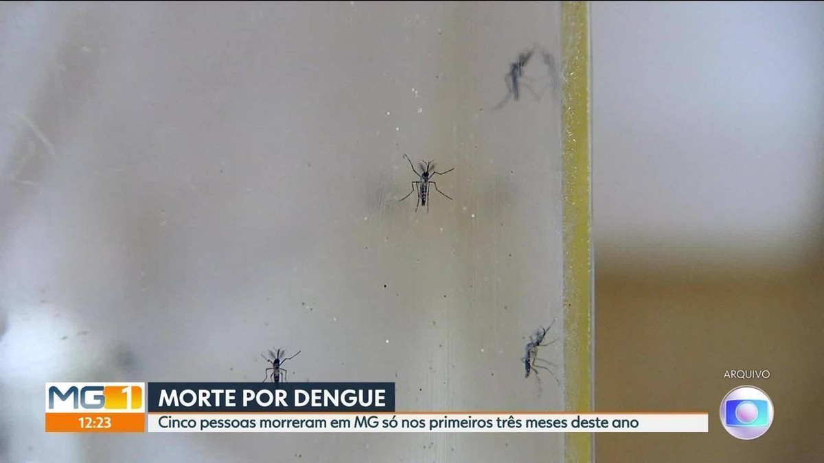 Dengue Minas Gerais Registra Em 2022 Mais Da Metade Das Mortes De Todo Ano Passado Minas 7400