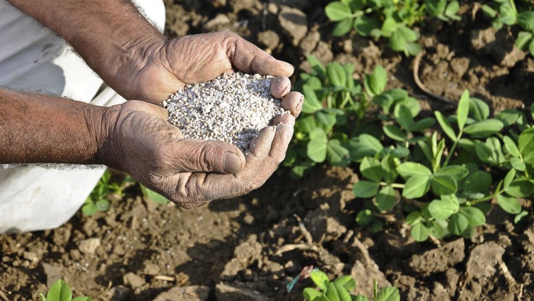 agricultura_fertilizantes (Foto: Thinkstock)