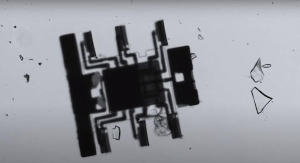 Robô minúsculo sob a lente de um microscópio — Foto: Reprodução/YouTube
