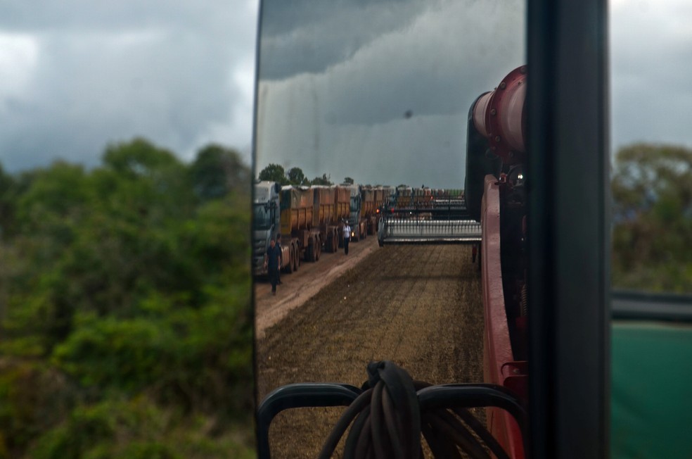 Colheitadeira de soja no Piauí máquina agrícola  — Foto: André Schaun
