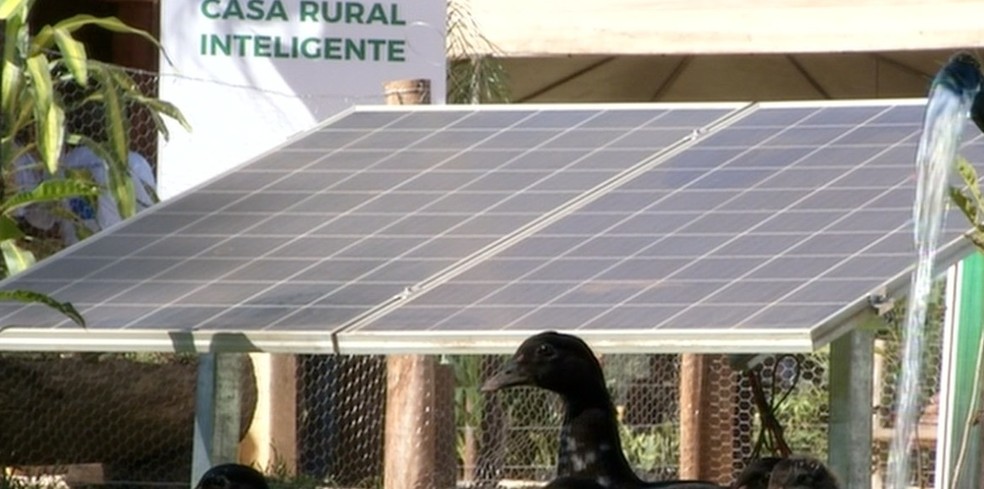 Placa solar ajuda produtores a economizar — Foto: Reprodução/TV Anhmaguera