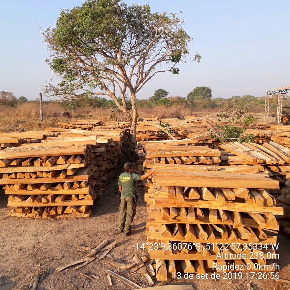 Ibama flagrou madeira ilegal e aplicou R$ 4,7 milhÃµes em multas em 20 fazendas em Mato Grosso â€” Foto: Ibama/DivulgaÃ§Ã£o