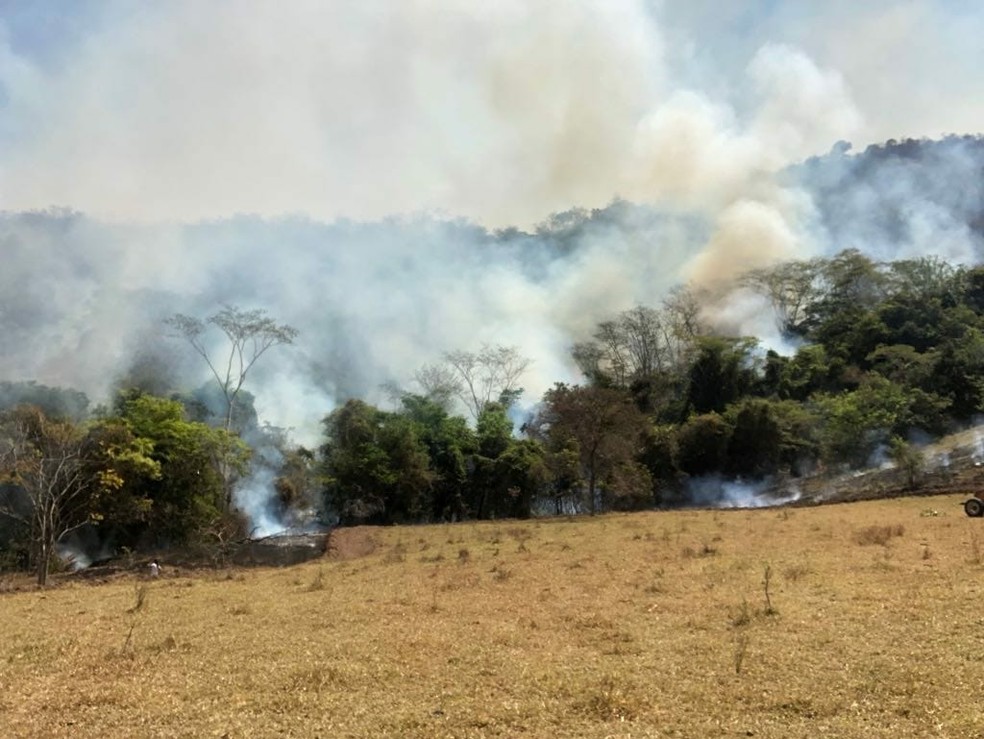 Bombeiros tentam controlar as chamas que destroem há 12 dias área rural de MS. (Foto: Divulgação/Corpo de Bombeiros)