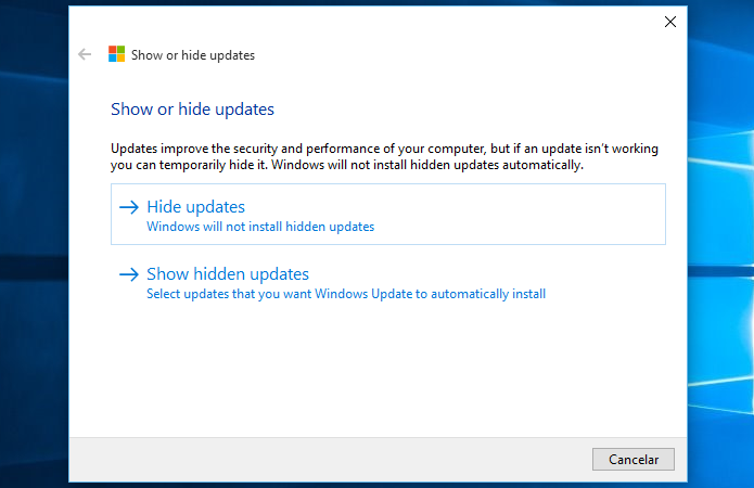 Ocultando atualizações do Windows Update (Foto: Reprodução/Helito Bijora) 