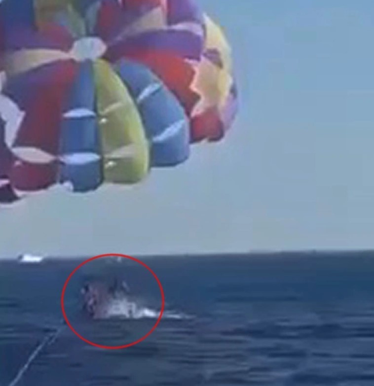 Tubarão pula da água e morde perna de homem em paraquedas no Mar Vermelho (Foto: Reprodução/YouTube BeachGrit)